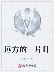 远方的一片叶在线阅读
