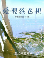 爱恨纸飞机在线阅读