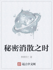 秘密消散之时在线阅读