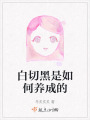 白切黑是如何养成的在线阅读