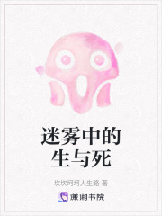 迷雾中的生与死在线阅读