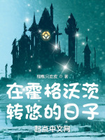 在霍格沃茨转悠的日子封面