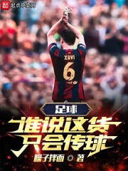 满级传球：卢卡库也给喂成哈兰德在线阅读