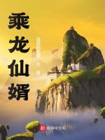 乘龙仙婿最新章节在线阅读