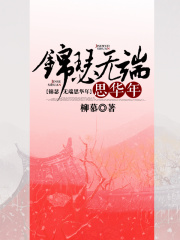 锦瑟无端思华年
