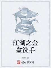 江湖之金盆洗手在线阅读