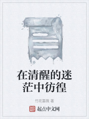 在清醒的迷茫中彷徨在线阅读