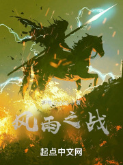 风雨之战在线阅读