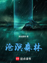沧溟森林在线阅读