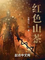 红色山茶在线阅读
