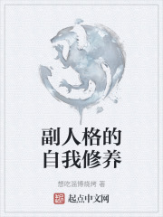 副人格的自我修养在线阅读