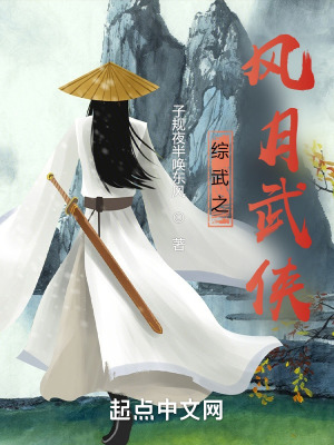 综武之风月武侠在线阅读
