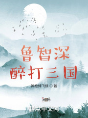 鲁智深醉打三国在线阅读