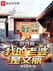四合院：我的老婆是文丽在线阅读
