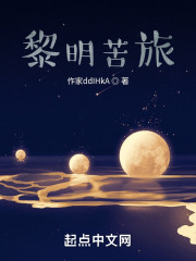 黎明苦旅在线阅读