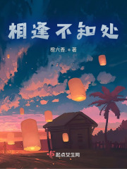 相逢不知处在线阅读