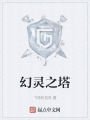 幻灵之塔在线阅读