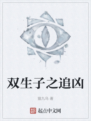双生子之追凶在线阅读