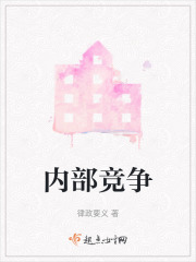 内部竞争在线阅读