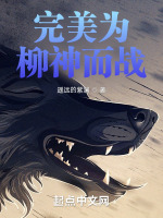 完美为爱冲锋在线阅读