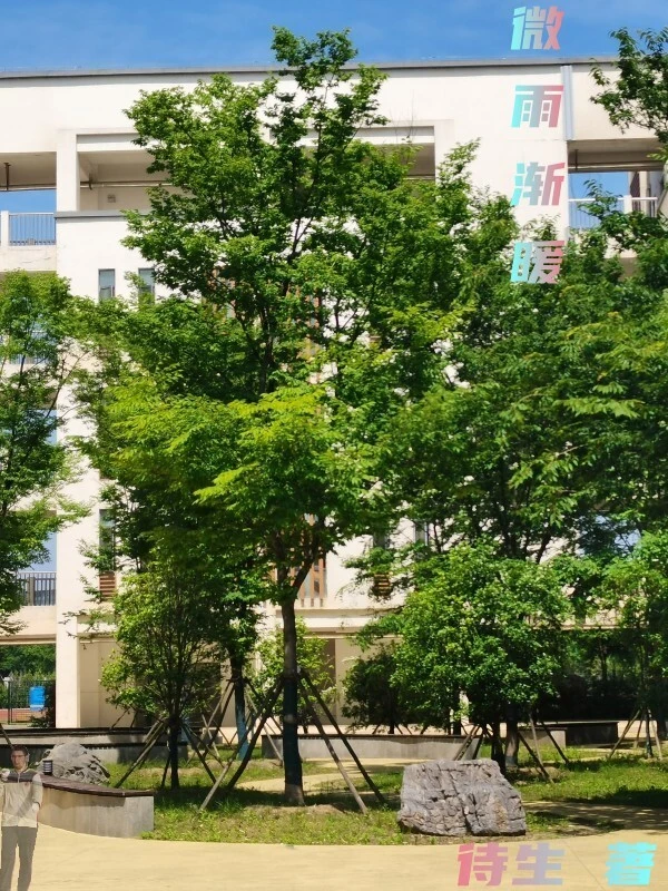 微雨渐暖