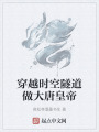 穿越时空隧道做大唐皇帝在线阅读