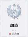 翻墙在线阅读