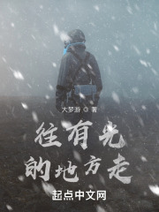 往有光的地方走在线阅读