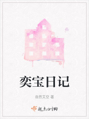 奕宝日记在线阅读