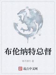 布伦纳特总督在线阅读