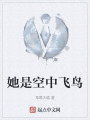 她是空中飞鸟在线阅读