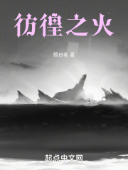 彷徨之火在线阅读