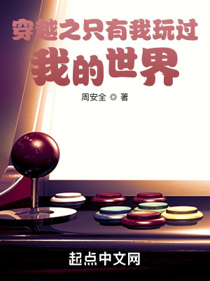 穿越之只有我玩过我的世界在线阅读