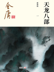 天龙八部(一)-纯文字版在线阅读