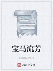 宝马流芳在线阅读