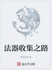 法器收集之路在线阅读