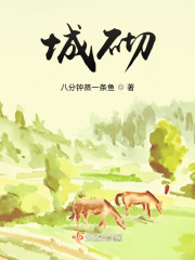城砌在线阅读