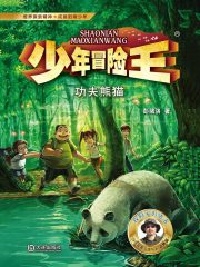 少年冒险王：功夫熊猫在线阅读