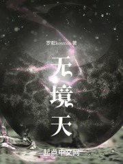 无境天在线阅读