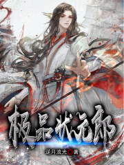 极品状元郎在线阅读