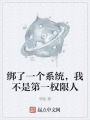 绑了一个系统，我不是第一权限人在线阅读