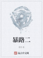 暴路二在线阅读