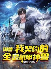 我契约的机甲