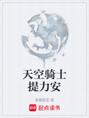天空骑士提力安