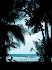 人类幼崽黑化警告