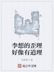李想的歪理好像有道理在线阅读
