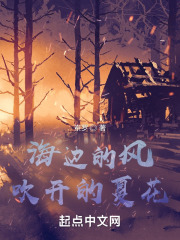 海边的风吹开的夏花在线阅读
