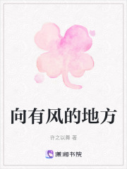 向有风的地方在线阅读