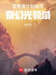 营救者计划前传：奇幻光领域在线阅读