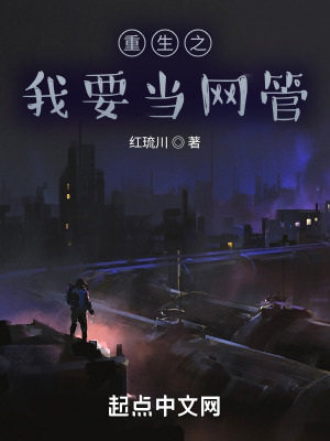 重生之我要当网管在线阅读